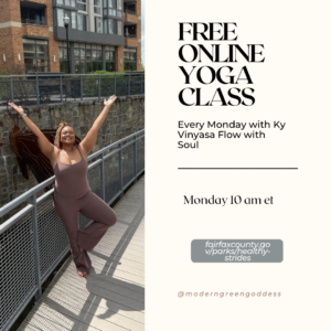 Ky Vinyasa Flow with Soul - Online YOGA Classes