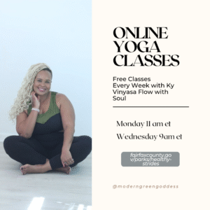 Ky Vinyasa Flow with Soul - Online YOGA Classes